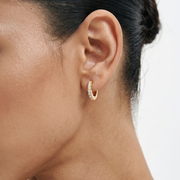 Vanity Mini Gold Waterproof Earrings